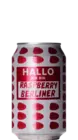 Mikkeller Hallo Ich Bin Berliner Weisse Raspberry