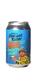 Poesiat & Kater Muuke #017 SMASH IPA Ekuanot